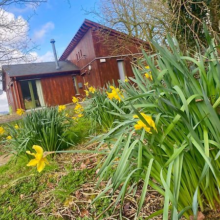 Ballyhoura Mountain Lodges Ballyorgan Zewnętrze zdjęcie