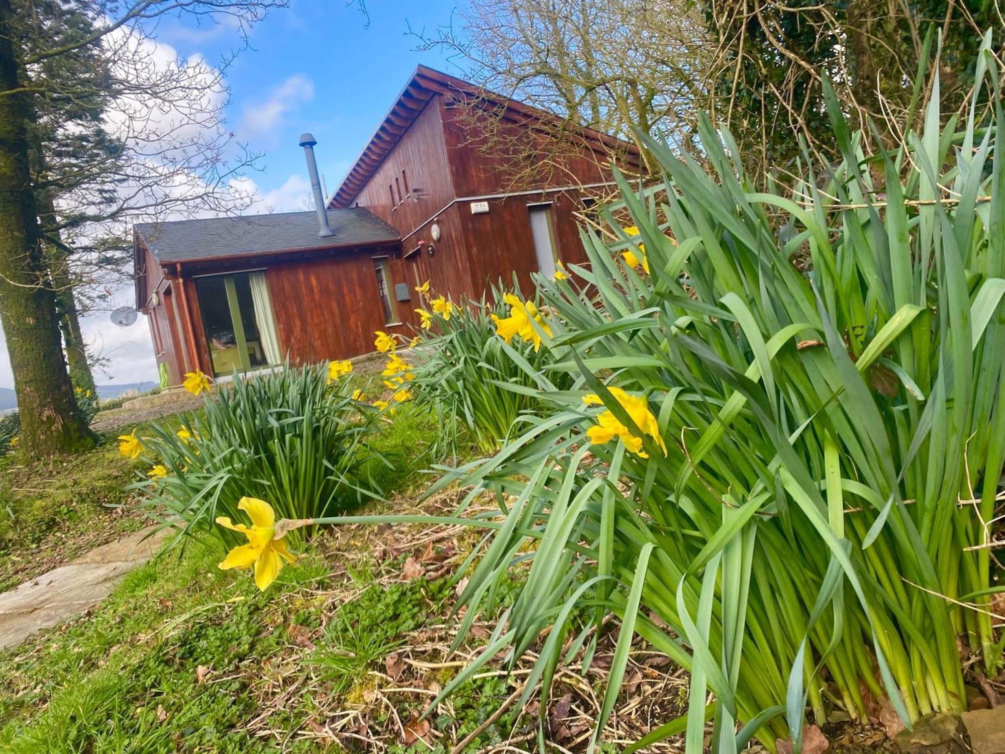 Ballyhoura Mountain Lodges Ballyorgan Zewnętrze zdjęcie