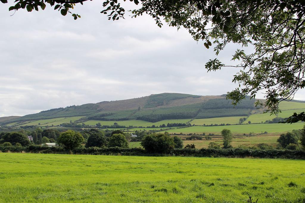 Ballyhoura Mountain Lodges Ballyorgan Pokój zdjęcie