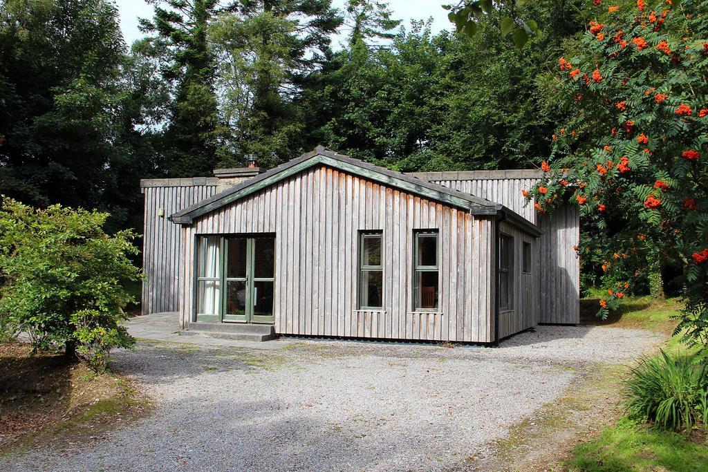 Ballyhoura Mountain Lodges Ballyorgan Pokój zdjęcie